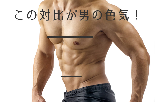 腹筋と胸筋の対比が男の色気