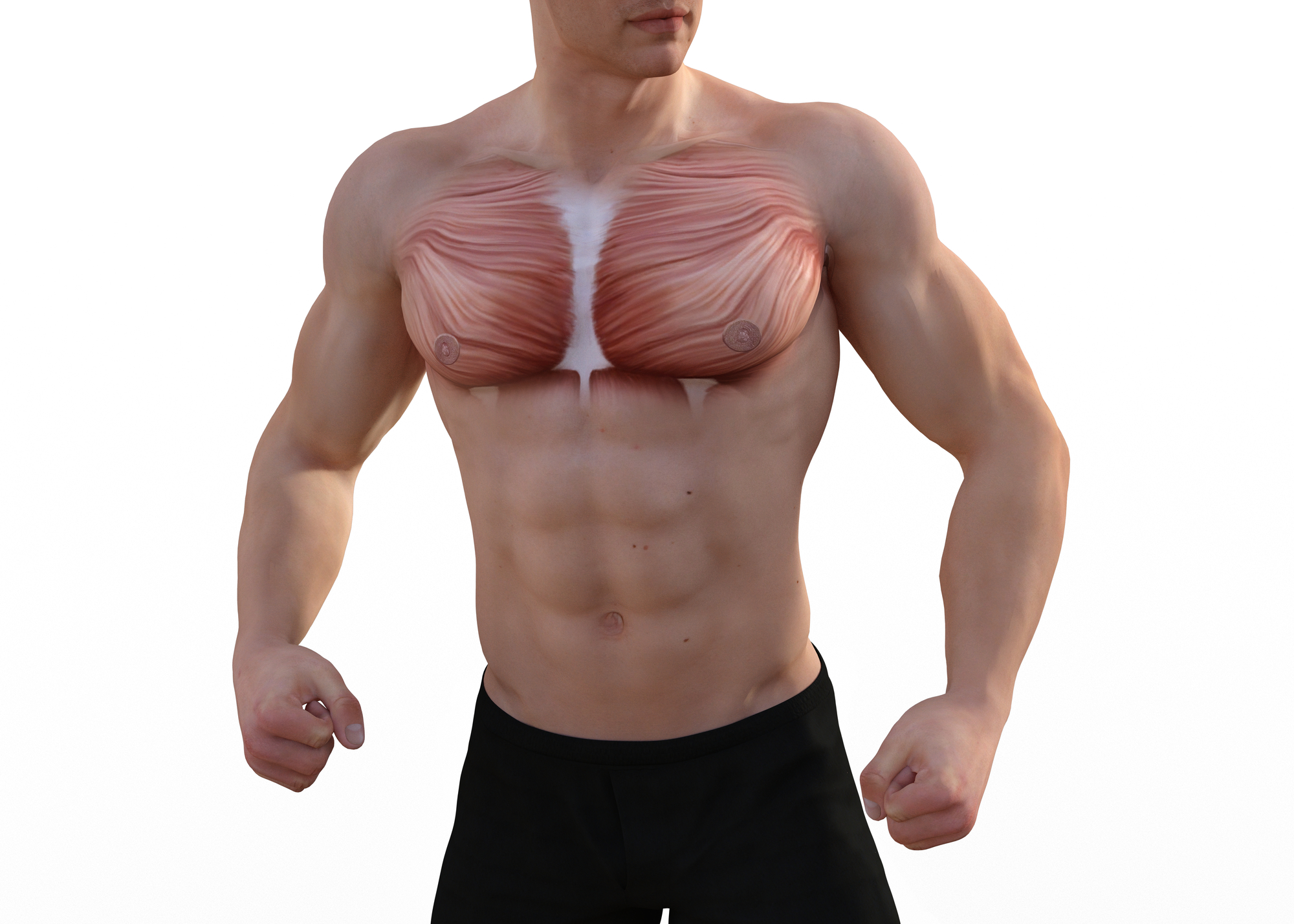 胸の筋肉